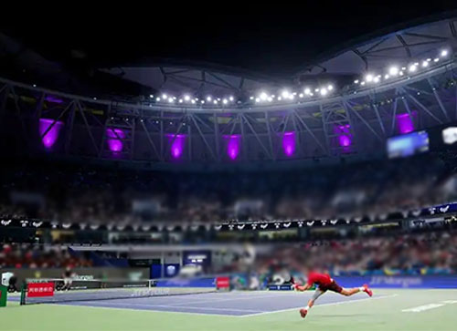 龙港市体育比赛